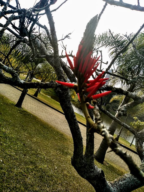 Code Compliance & Inspections